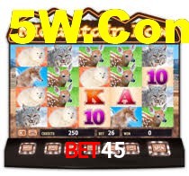 Sinta a adrenalina dos jogos de cassino com Bet45